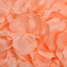 파티복닷컴 장미꽃잎 플라워샤워, 1세트, 요구르트 문구/오피스/파티/이벤트 반품 최저가 2,120원
