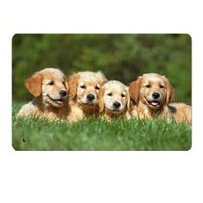 퍼즐갤러리 아띠 퍼즐 치매예방에 좋은 목재 판퍼즐 한낮에 휴식, 1개, 40피스 완구/취미/퍼즐/큐브/피젯토이 반품 최저가 10,340원