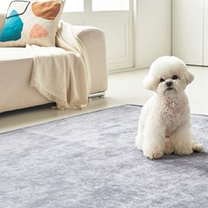 젤란하우스 아쿠아클린 셔닐 워셔블 물세탁 방수 사각 러그 홈인테리어/카페트/쿠션 반품 최저가 83,080원