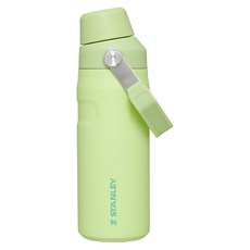 스탠리 아이스플로우 에어로라이트 패스트플로우 텀블러, 시트론, 355ml, 1개 주방용품/보온/보냉텀블러 반품 최저가 31,540원