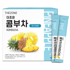 더존건강 더조은 콤부차 파인애플, 5g, 30개입, 1개 식품/커피/원두/차 반품 최저가 8,620원