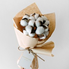 블루밍앤미 목화꽃 6p 모던 드라이 플라워 꽃다발, 크라프트 홈인테리어/드라이플라워 반품 최저가 8,120원