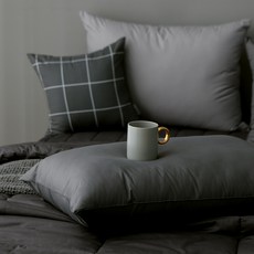 타카타카 슬립온 통째로 빨아쓰는 베개, 차콜, 1개 생활용품/건강액세서리 반품 최저가 12,210원