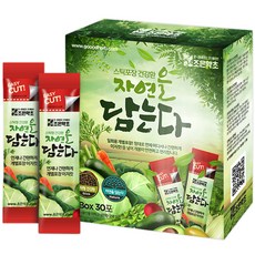 조은약초 자연을 담는다 프리미엄 노니환 스틱, 90g, 1개 헬스/건강식품/건강분말/건강환 반품 최저가 8,800원