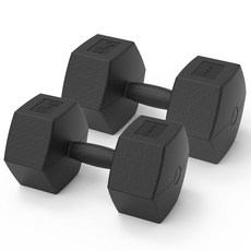 이고진 블랙육각 덤벨 아령, 8kg, 2개 헬스/건강식품/헬스/요가용품 반품 최저가 17,560원