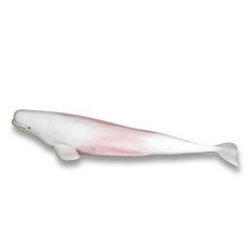 반디 소프트 애니멀 벨루가 피규어, 1개 완구/취미/수집품 반품 최저가 4,010원