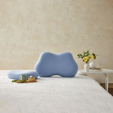 모던하우스 소프트필 나비형 메모리폼 베개 전용커버 홈인테리어/수예/수선 반품 최저가 4,850원