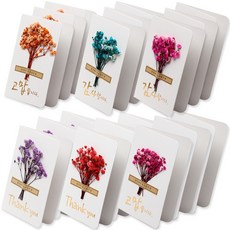 포포팬시 플라워 메세지 카드 6종 세트, 고맙습니다(오렌지, 핑크), 감사합니다(핑크, 블루), Thank you(퍼플, 레드), 3세트 문구/오피스/카드/엽서/봉투 반품 최저가 16,900원