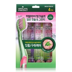 히말라야핑크솔트 담은 칫솔 그린티, 4개입, 1개 생활용품/칫솔 반품 최저가 6,640원