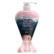 히말라야핑크솔트 담은 펌핑치약 플로럴, 285g, 1개 생활용품/구강/면도 반품 최저가 5,710원