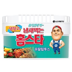 홈스타 냄새먹는 냉장고용 탈취제 유칼립투스 본품, 420g, 1개 생활용품/탈취/방향/살충 반품 최저가 3,180원