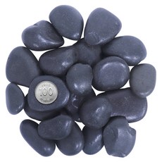 화분월드 강자갈 검정5호, 1개, 1.5kg 홈인테리어/원예/가드닝 반품 최저가 11,250원