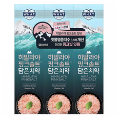 히말라야핑크솔트 담은 치약 아이스 카밍 민트, 100g, 3개 생활용품/구강/면도 반품 최저가 6,480원