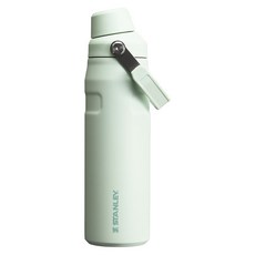 스탠리 아이스플로우 에어로라이트 패스트플로우 텀블러, 미스트, 710ml, 1개 주방용품/컵/텀블러/와인용품 반품 최저가 44,110원