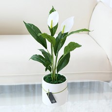 도시정원 조화 스파트필름 화분 대, 혼합색상, 1개 홈인테리어/홈데코/디퓨저 반품 최저가 17,230원