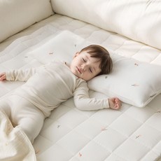 에시앙 유아용 모데즈 자수 인견 와이드 베개, 블라썸 출산/유아동/유아동침구 반품 최저가 17,270원