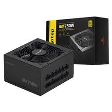세고텝 GM750W 풀모듈러 ATX 3.1 PCIE5.1 블랙 GM750W BK 가전디지털/PC부품 반품 최저가 98,540원