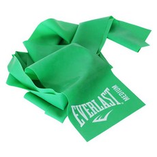 에버라스트 플랫 레지스탕스 밴드, 그린, 1개 헬스/건강식품/홈트레이닝 반품 최저가 6,740원