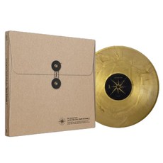 이승윤 - 꿈의 거처 2집 골드 마블 컬러, 2CD 도서/음반/DVD/CD/LP 반품 최저가 35,360원