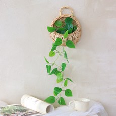 행잉 플랜트 라탄바구니 + 스킨답서스 넝쿨 조화 세트, 혼합색상, 1세트 홈인테리어/홈데코/디퓨저 반품 최저가 10,510원