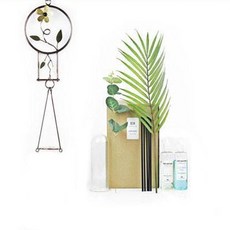 이앤 황동 인테리어 벽걸이 아로마 디퓨저, 레몬체리 생활용품/탈취/방향/살충 반품 최저가 51,890원