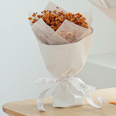 코코도르 시들지 않는 생화 프리저브드 안개꽃다발 스몰, 오렌지 홈인테리어/원예/가드닝 반품 최저가 11,590원