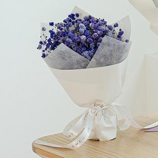 코코도르 시들지 않는 생화 프리저브드 안개꽃다발 스몰, 퍼플 undefined/undefined 반품 최저가 10,580원