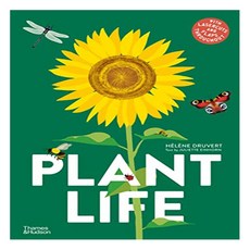 Plant Life, Thames and Hudson Ltd 출산/유아동/유아동도서 반품 최저가 25,940원