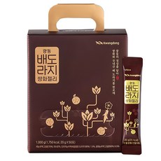 광동 배도라지 쌍화젤리 50포, 1kg, 1개 헬스/건강식품/건강식품 반품 최저가 24,280원