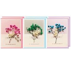 2000카드 세트 꽃 V20-2 3종 x 2p, 혼합색상, 1세트 문구/오피스/카드/엽서/봉투 반품 최저가 7,990원