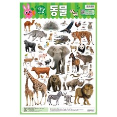 쏭쏭 사운드 벽보, 동물, KIDSNEAR 완구/취미/학습완구/교구 반품 최저가 3,430원