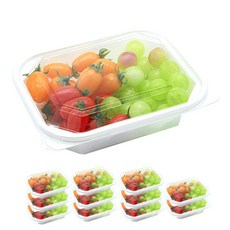 사각 화이트 한칸 일회용 도시락, 12개, 1세트 주방용품/일회용품/종이컵 반품 최저가 5,310원