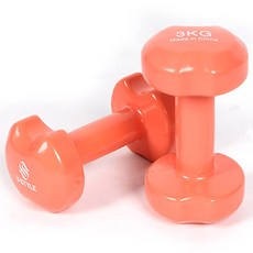 반석스포츠 스타일 애플아령 코랄, 2개, 3kg 헬스/건강식품/홈트레이닝 반품 최저가 17,330원