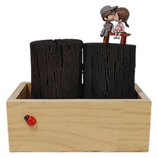 가꾸지오 우드박스 + 참숯 1kg 세트, 1세트 홈인테리어/원예/가드닝 반품 최저가 17,900원