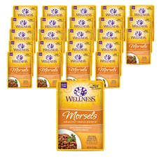 웰니스 어덜트 고양이 헬시 인덜전스 머셀 습식사료 파우치, 24개, 85g, 닭+연어 반려동물용품/고양이 사료 반품 최저가 37,620원