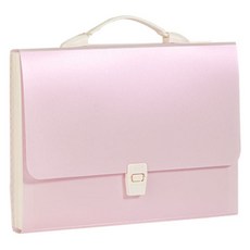 델리 펄칼라 12분류 도큐먼트파일 PM306, 랜덤발송, 1개 문구/오피스/사무용품 전문관 반품 최저가 5,920원