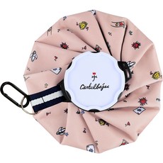 까스텔바작 방수 냉온 얼음 주머니 23 x 19 cm, 1개 생활용품/생활잡화 반품 최저가 18,650원
