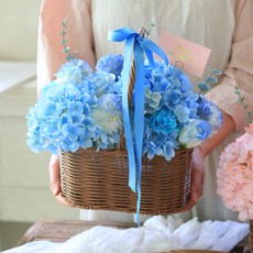 센트바스켓 조화 앨리스 비누꽃 수국조화 꽃바구니, 스카이, 1개 홈인테리어/원예/가드닝 반품 최저가 38,700원