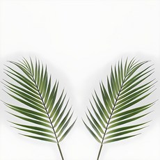 블루밍앤미 아레카야자 조화, 2개 홈인테리어/홈데코/디퓨저 반품 최저가 6,270원