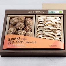 표고버섯 동고 2종 세트 250g, 1세트 식품/채소 반품 최저가 40,230원