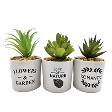 에스앤큐 조화 귀여운 인테리어 다육이 3종, 혼합색상, 1세트 홈인테리어/홈데코/디퓨저 반품 최저가 9,230원