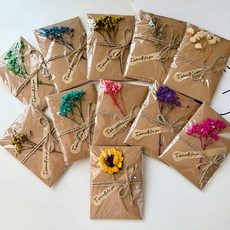 세븐집 드라이플라워 축하 감사 카드 10종 세트, 혼합색상, 1세트 문구/오피스/카드/엽서/봉투 반품 최저가 7,310원