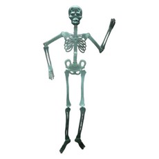 파티쇼 야광 전신해골모형 문구/오피스/파티/이벤트 반품 최저가 4,950원