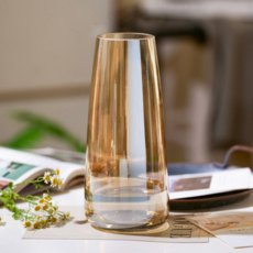 비비드하우스 인테리어 유리 투명 화병, 골드 완구/취미/수집품 반품 최저가 8,060원