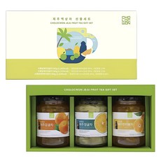 초록원 제주액상차 3종 선물세트 + 쇼핑백, 제주감귤차 560g + 제주청귤차 560g + 제주한라봉차 560g, 1세트 식품/커피/원두/차 반품 최저가 19,800원