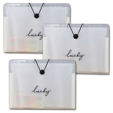 마다꾸미 아코디언 파일 인덱스 화일 투명 홀더 A4, 04 럭키, 3개 문구/오피스/사무용품 전문관 반품 최저가 7,640원