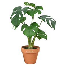도시정원 조화 몬스테라 화분, 혼합색상, 1개 홈인테리어/원예/가드닝 반품 최저가 10,700원