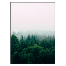 어번던스 99.9% 빛차단 비비드 컬러 3중직 창문형 암막커튼 홈인테리어/커튼/블라인드 반품 최저가 8,530원