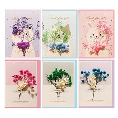 2000 드라이플라워 카드 + 봉투 6종 세트 V21-1, 혼합색상, 6개 문구/오피스/카드/엽서/봉투 반품 최저가 10,800원
