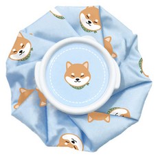 일상나눔 시바견 냉온 얼음주머니 14 x 15 cm, 1개 생활용품/생활잡화 반품 최저가 4,110원